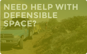 Need Help with Defensible Space?